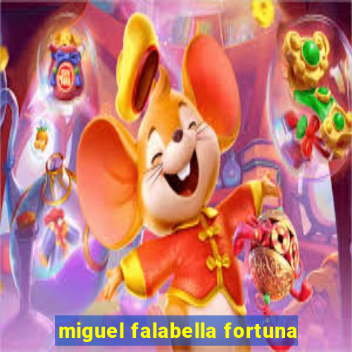 miguel falabella fortuna